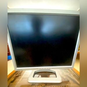Samsung SyncMaster 213T